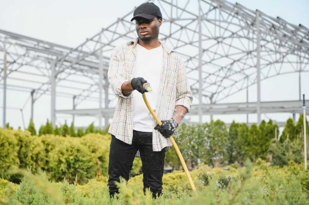 A Young African American Gardener Cuts A Tree