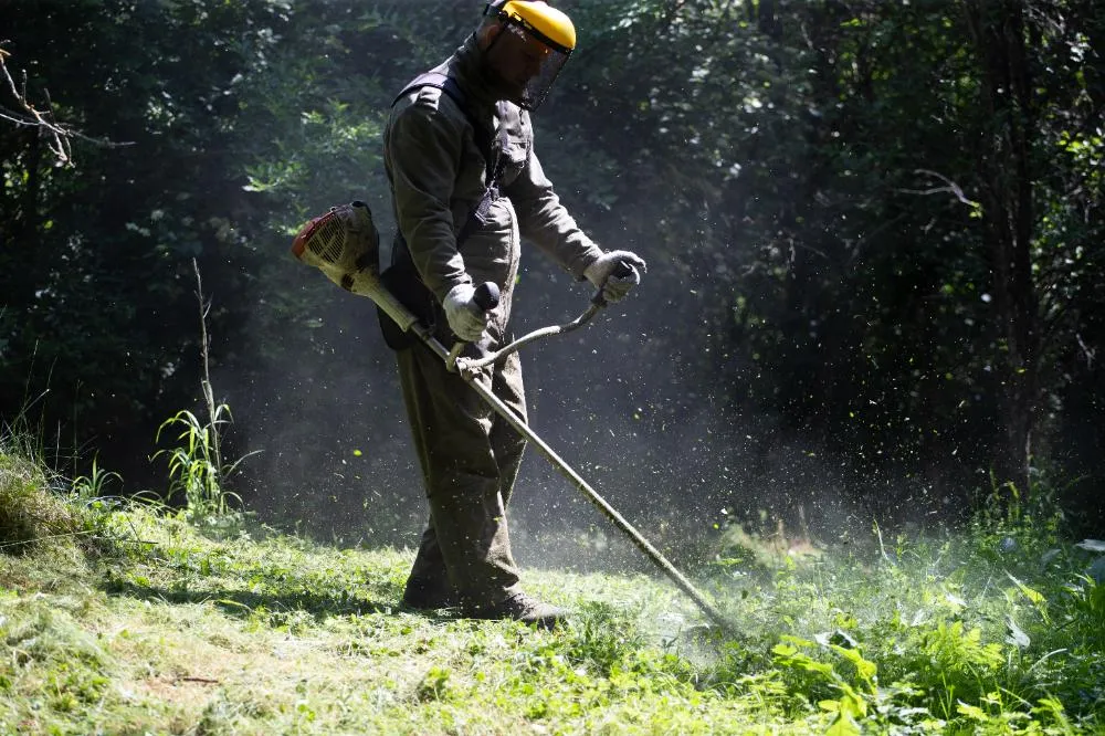 Lawn Mover On Green Grass Machine For Cutting Lawn